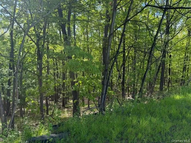 27 Council Crest Road, Ramapo, NY, ,Land,For Rent,Council Crest,0,1000792 27 Council Crest Road, Ramapo, NY, ,Land,For Rent,Council Crest,0,1000792