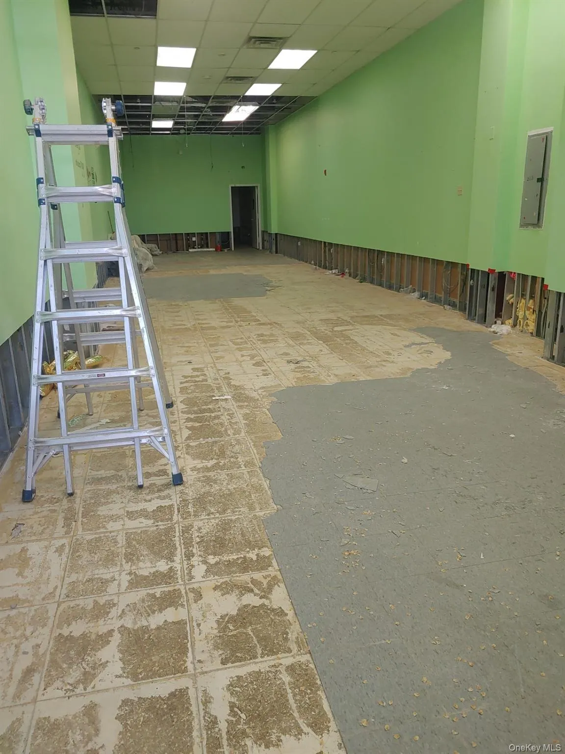 251-16 Hillside Ave, New York, NY, ,Commercial Lease,For Rent,Hillside Ave,0,1000793 251-16 Hillside Ave, New York, NY, ,Commercial Lease,For Rent,Hillside Ave,0,1000793