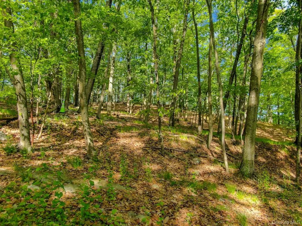24 Council Crest Road, Ramapo, NY, ,Land,For Rent,Council Crest,0,1000795 24 Council Crest Road, Ramapo, NY, ,Land,For Rent,Council Crest,0,1000795