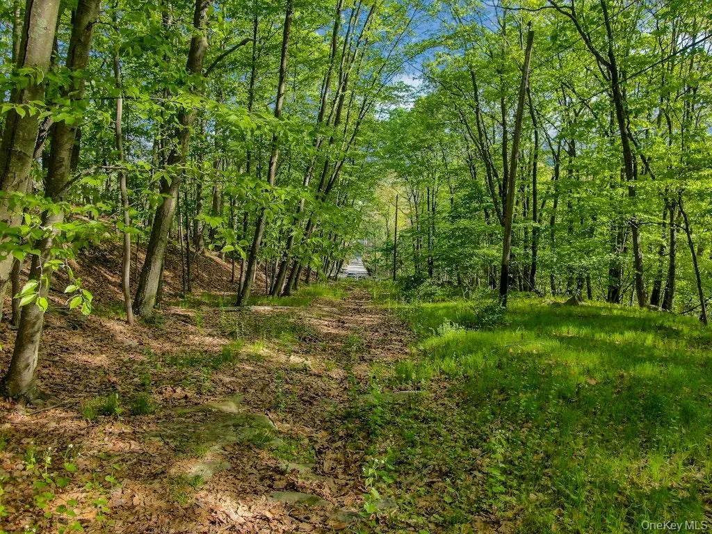 24 Council Crest Road, Ramapo, NY, ,Land,For Rent,Council Crest,0,1000795 24 Council Crest Road, Ramapo, NY, ,Land,For Rent,Council Crest,0,1000795