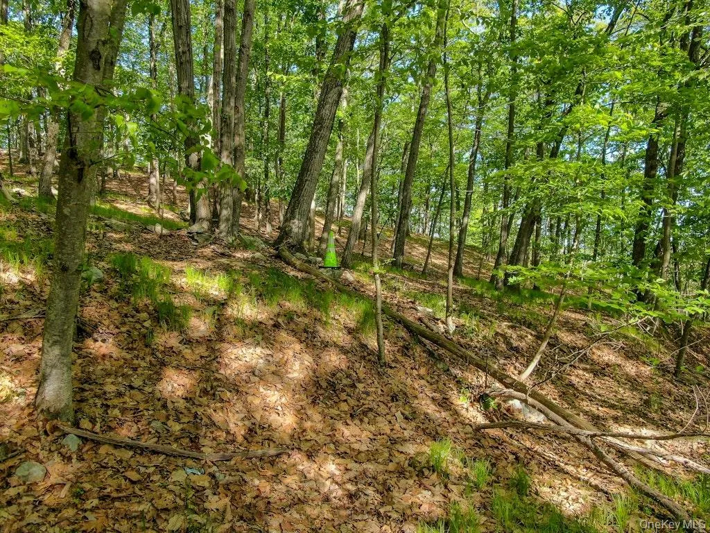 24 Council Crest Road, Ramapo, NY, ,Land,For Rent,Council Crest,0,1000795 24 Council Crest Road, Ramapo, NY, ,Land,For Rent,Council Crest,0,1000795