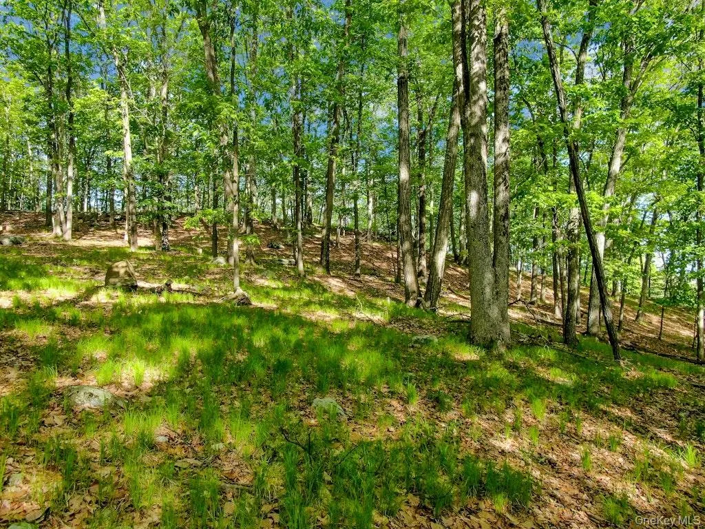24 Council Crest Road, Ramapo, NY, ,Land,For Rent,Council Crest,0,1000795 24 Council Crest Road, Ramapo, NY, ,Land,For Rent,Council Crest,0,1000795