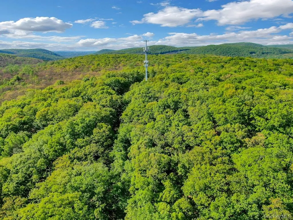 26 Council Crest Road, Ramapo, NY, ,Land,For Rent,Council Crest,0,1000797 26 Council Crest Road, Ramapo, NY, ,Land,For Rent,Council Crest,0,1000797