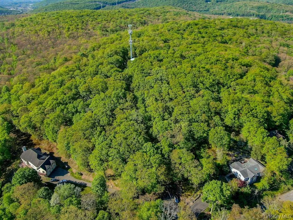 26 Council Crest Road, Ramapo, NY, ,Land,For Rent,Council Crest,0,1000797 26 Council Crest Road, Ramapo, NY, ,Land,For Rent,Council Crest,0,1000797