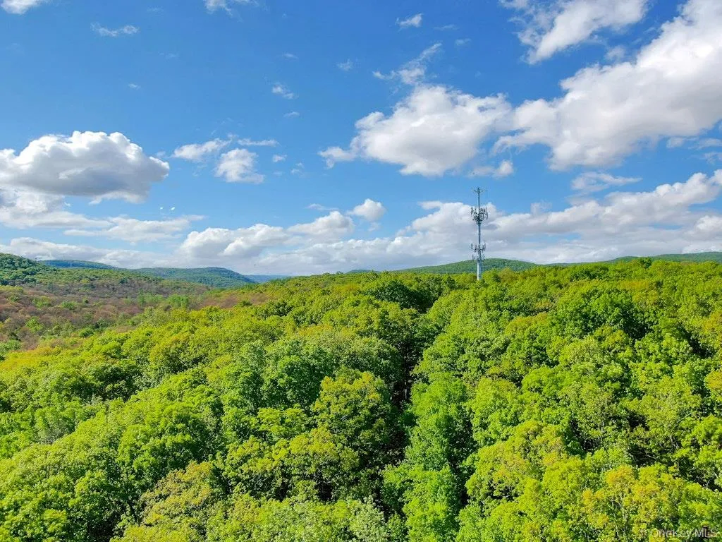 26 Council Crest Road, Ramapo, NY, ,Land,For Rent,Council Crest,0,1000797 26 Council Crest Road, Ramapo, NY, ,Land,For Rent,Council Crest,0,1000797