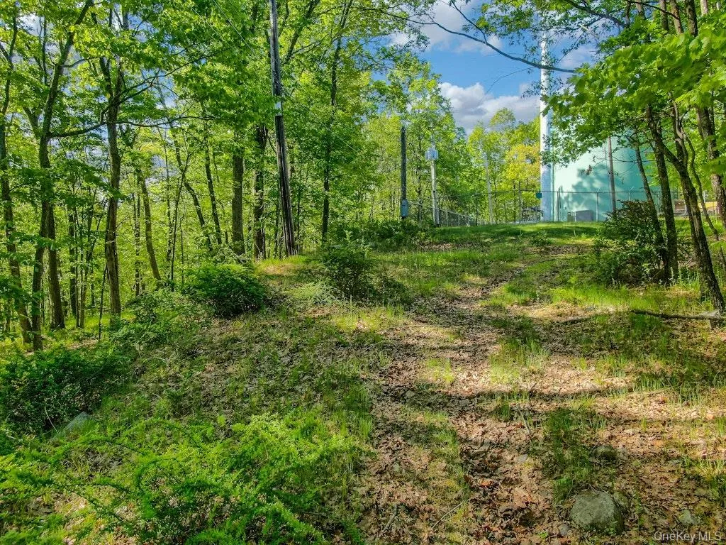 26 Council Crest Road, Ramapo, NY, ,Land,For Rent,Council Crest,0,1000797 26 Council Crest Road, Ramapo, NY, ,Land,For Rent,Council Crest,0,1000797