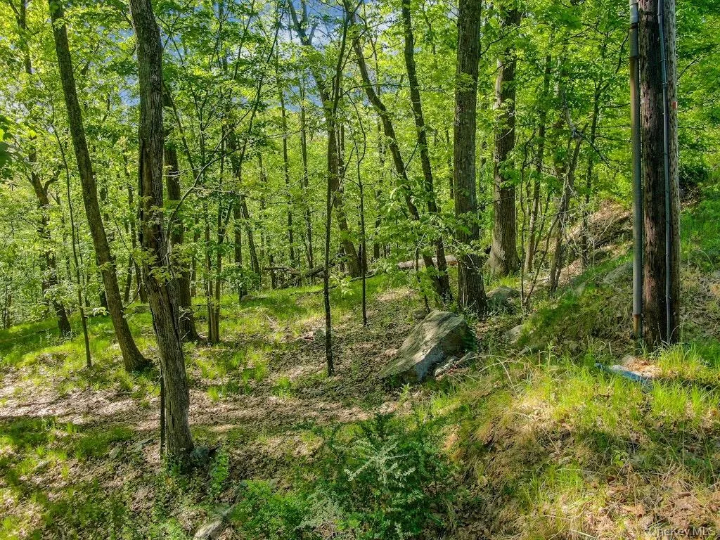 26 Council Crest Road, Ramapo, NY, ,Land,For Rent,Council Crest,0,1000797 26 Council Crest Road, Ramapo, NY, ,Land,For Rent,Council Crest,0,1000797