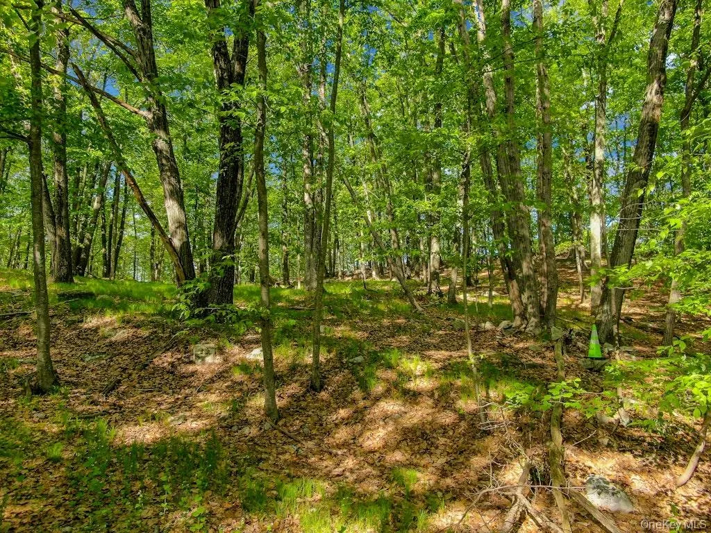 26 Council Crest Road, Ramapo, NY, ,Land,For Rent,Council Crest,0,1000797 26 Council Crest Road, Ramapo, NY, ,Land,For Rent,Council Crest,0,1000797