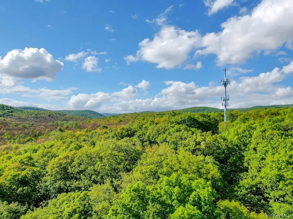 26 Council Crest Road, Ramapo, NY, ,Land,For Rent,Council Crest,0,1000797 26 Council Crest Road, Ramapo, NY, ,Land,For Rent,Council Crest,0,1000797
