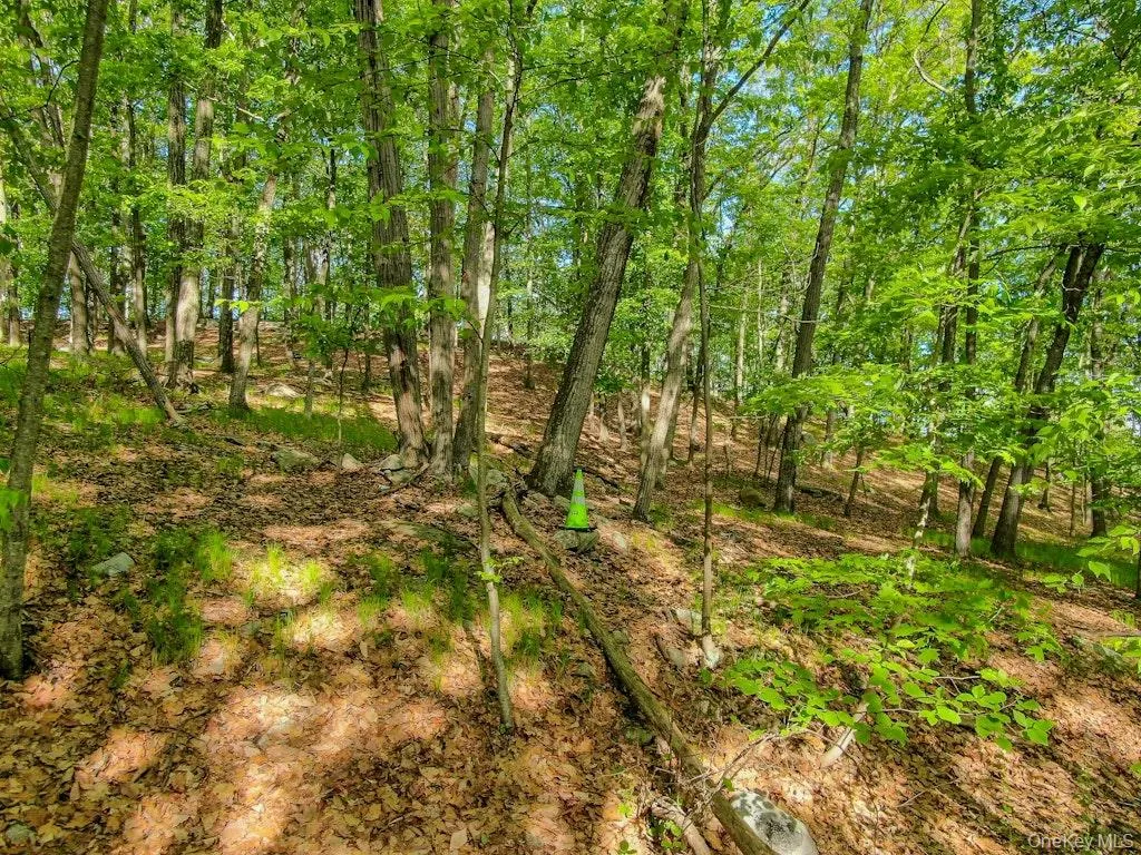 26 Council Crest Road, Ramapo, NY, ,Land,For Rent,Council Crest,0,1000797 26 Council Crest Road, Ramapo, NY, ,Land,For Rent,Council Crest,0,1000797