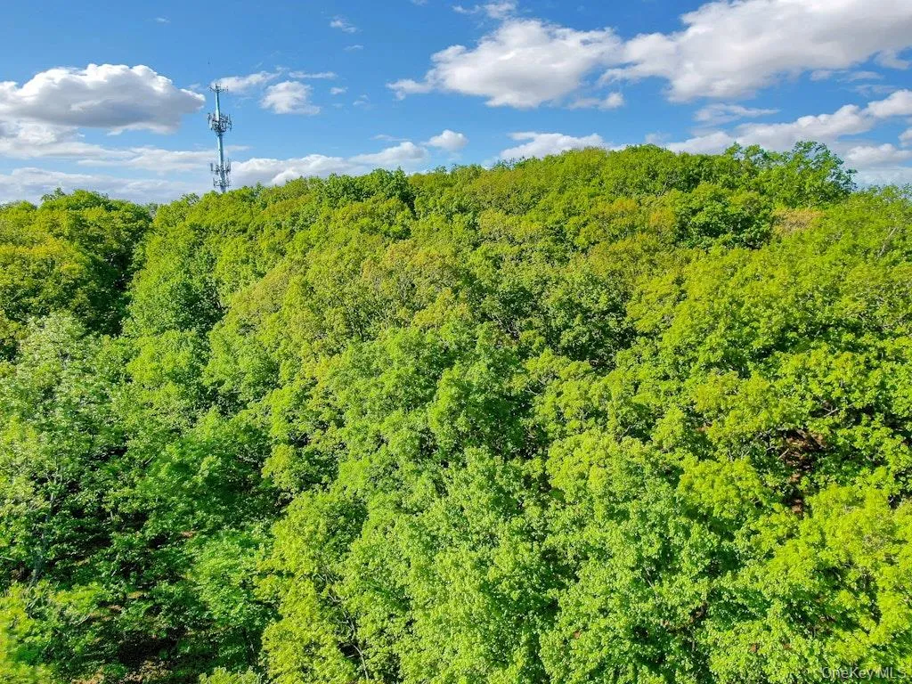 26 Council Crest Road, Ramapo, NY, ,Land,For Rent,Council Crest,0,1000797 26 Council Crest Road, Ramapo, NY, ,Land,For Rent,Council Crest,0,1000797
