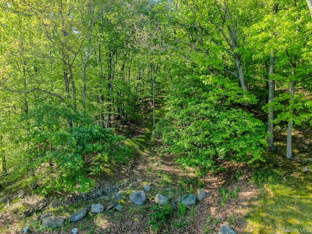 26 Council Crest Road, Ramapo, NY, ,Land,For Rent,Council Crest,0,1000797 26 Council Crest Road, Ramapo, NY, ,Land,For Rent,Council Crest,0,1000797
