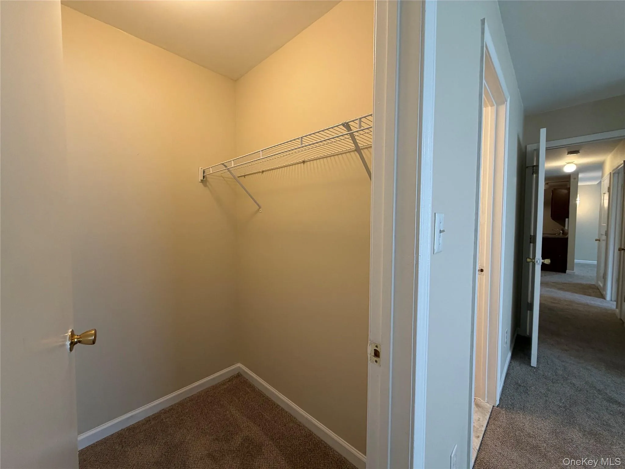 141 Ruth Court, Middletown, NY, 2 Bedrooms Bedrooms, 6 Rooms Rooms,2 BathroomsBathrooms,Residential,For Rent,Ruth,0,1000877 141 Ruth Court, Middletown, NY, 2 Bedrooms Bedrooms, 6 Rooms Rooms,2 BathroomsBathrooms,Residential,For Rent,Ruth,0,1000877