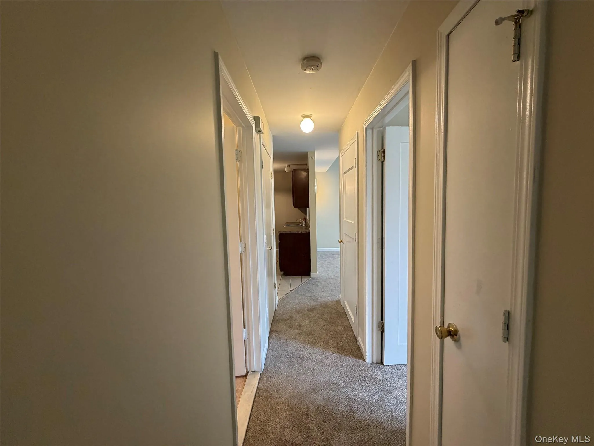 141 Ruth Court, Middletown, NY, 2 Bedrooms Bedrooms, 6 Rooms Rooms,2 BathroomsBathrooms,Residential,For Rent,Ruth,0,1000877 141 Ruth Court, Middletown, NY, 2 Bedrooms Bedrooms, 6 Rooms Rooms,2 BathroomsBathrooms,Residential,For Rent,Ruth,0,1000877