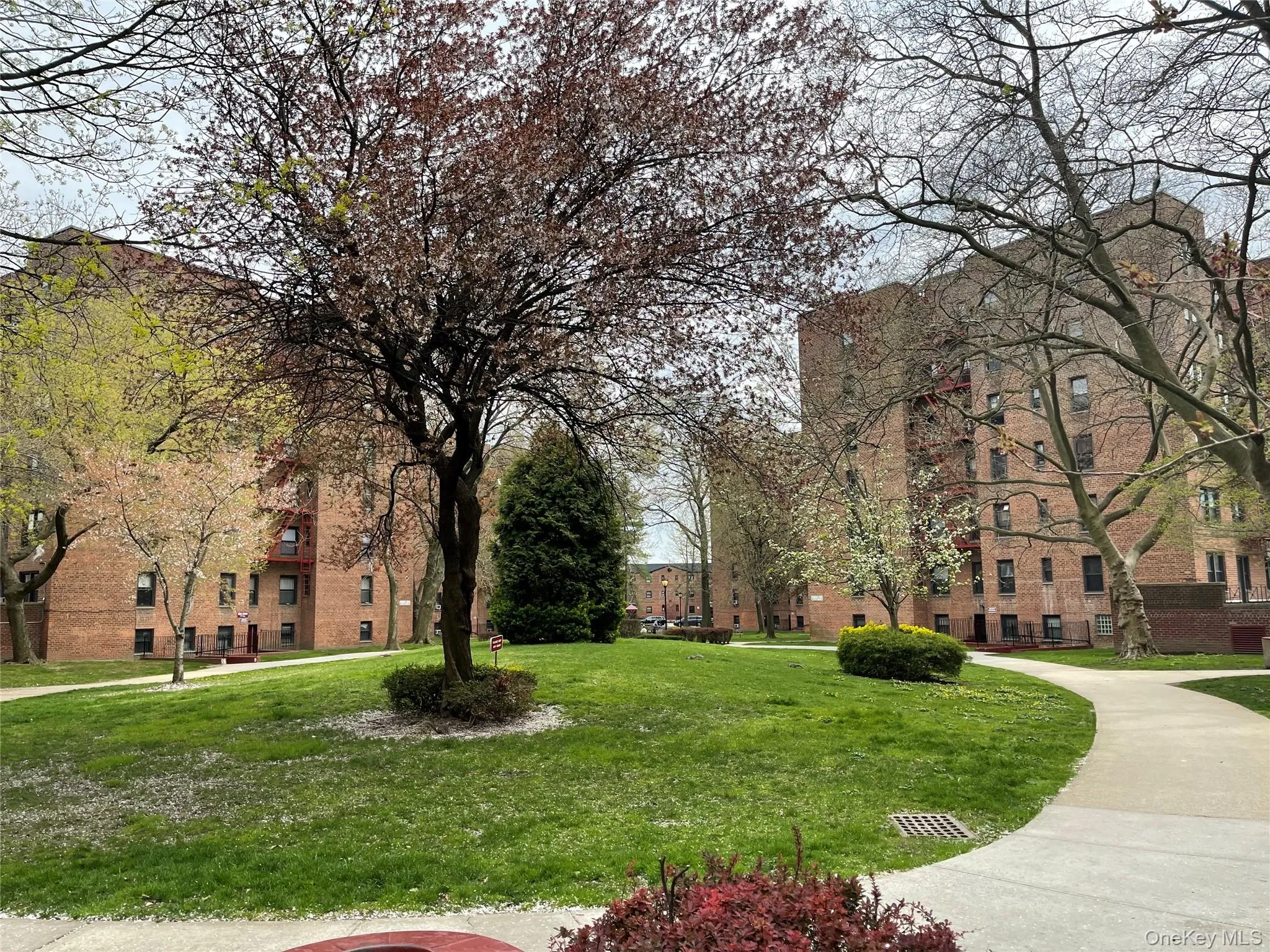 150-29 72 Road, New York, NY, 1 Bedroom Bedrooms, 3 Rooms Rooms,1 BathroomBathrooms,Residential Sale,For Rent,72,0,1000889 150-29 72 Road, New York, NY, 1 Bedroom Bedrooms, 3 Rooms Rooms,1 BathroomBathrooms,Residential Sale,For Rent,72,0,1000889