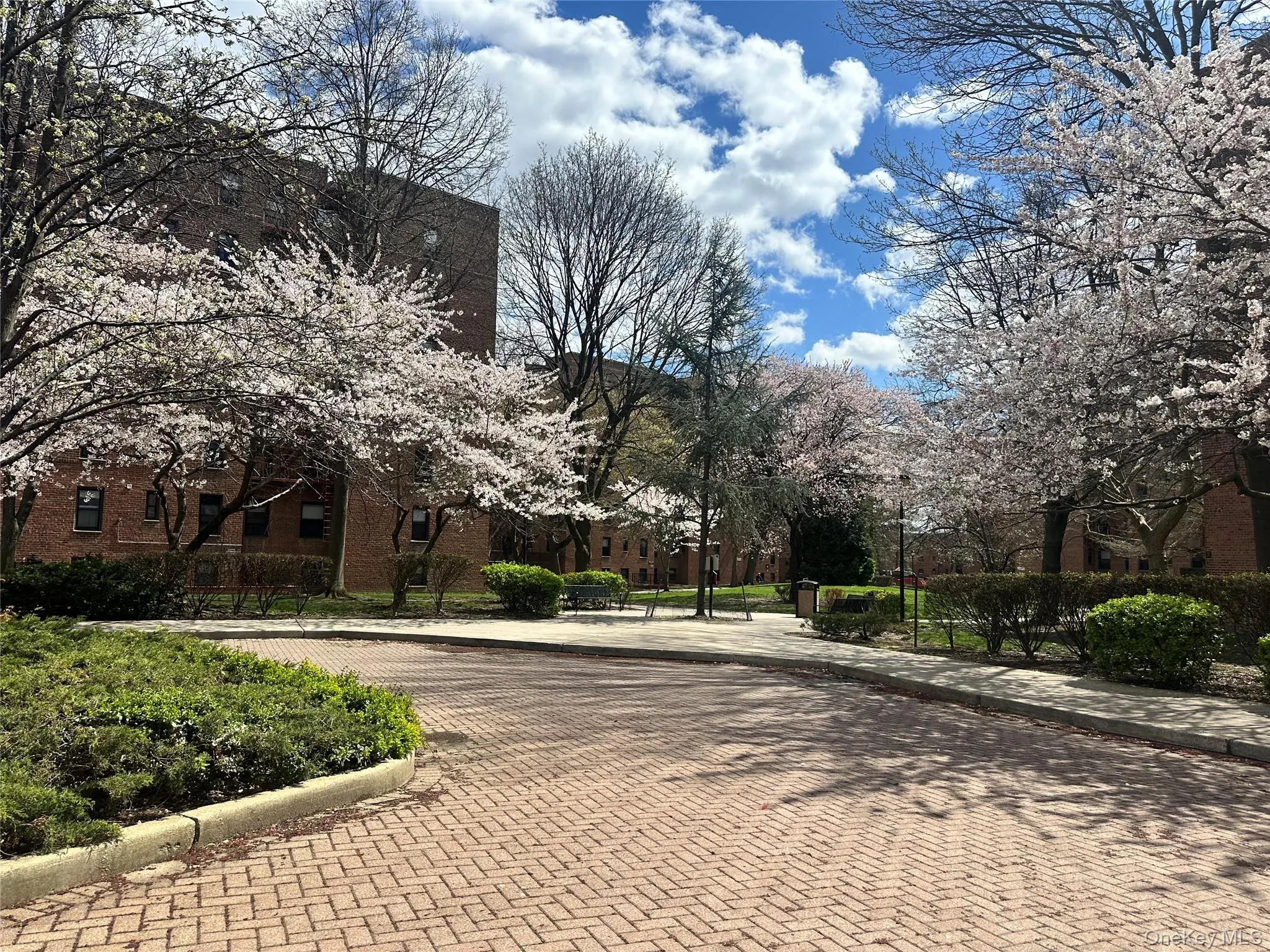 150-29 72 Road, New York, NY, 1 Bedroom Bedrooms, 3 Rooms Rooms,1 BathroomBathrooms,Residential Sale,For Rent,72,0,1000889 150-29 72 Road, New York, NY, 1 Bedroom Bedrooms, 3 Rooms Rooms,1 BathroomBathrooms,Residential Sale,For Rent,72,0,1000889