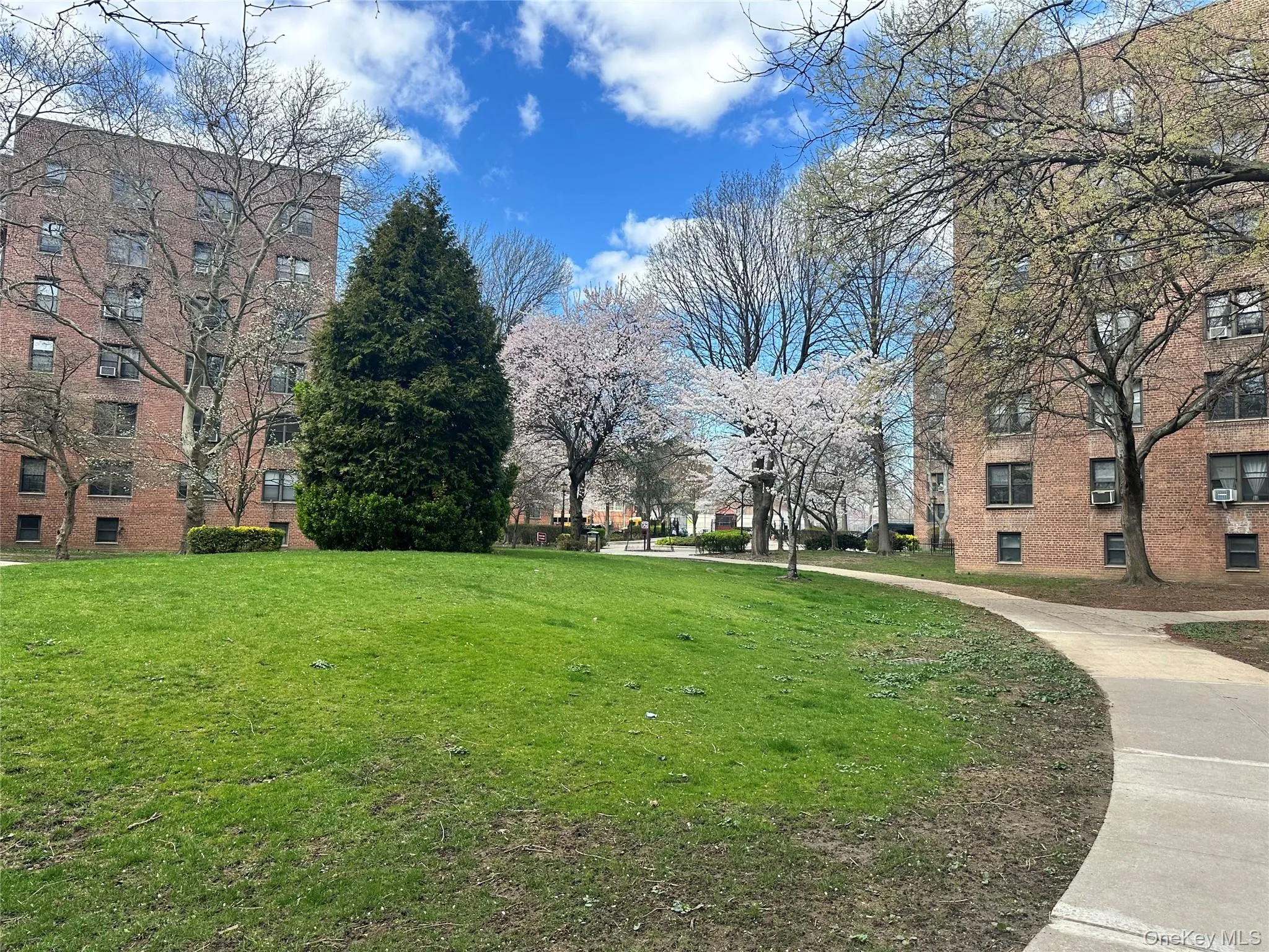 150-29 72 Road, New York, NY, 1 Bedroom Bedrooms, 3 Rooms Rooms,1 BathroomBathrooms,Residential Sale,For Rent,72,0,1000889 150-29 72 Road, New York, NY, 1 Bedroom Bedrooms, 3 Rooms Rooms,1 BathroomBathrooms,Residential Sale,For Rent,72,0,1000889