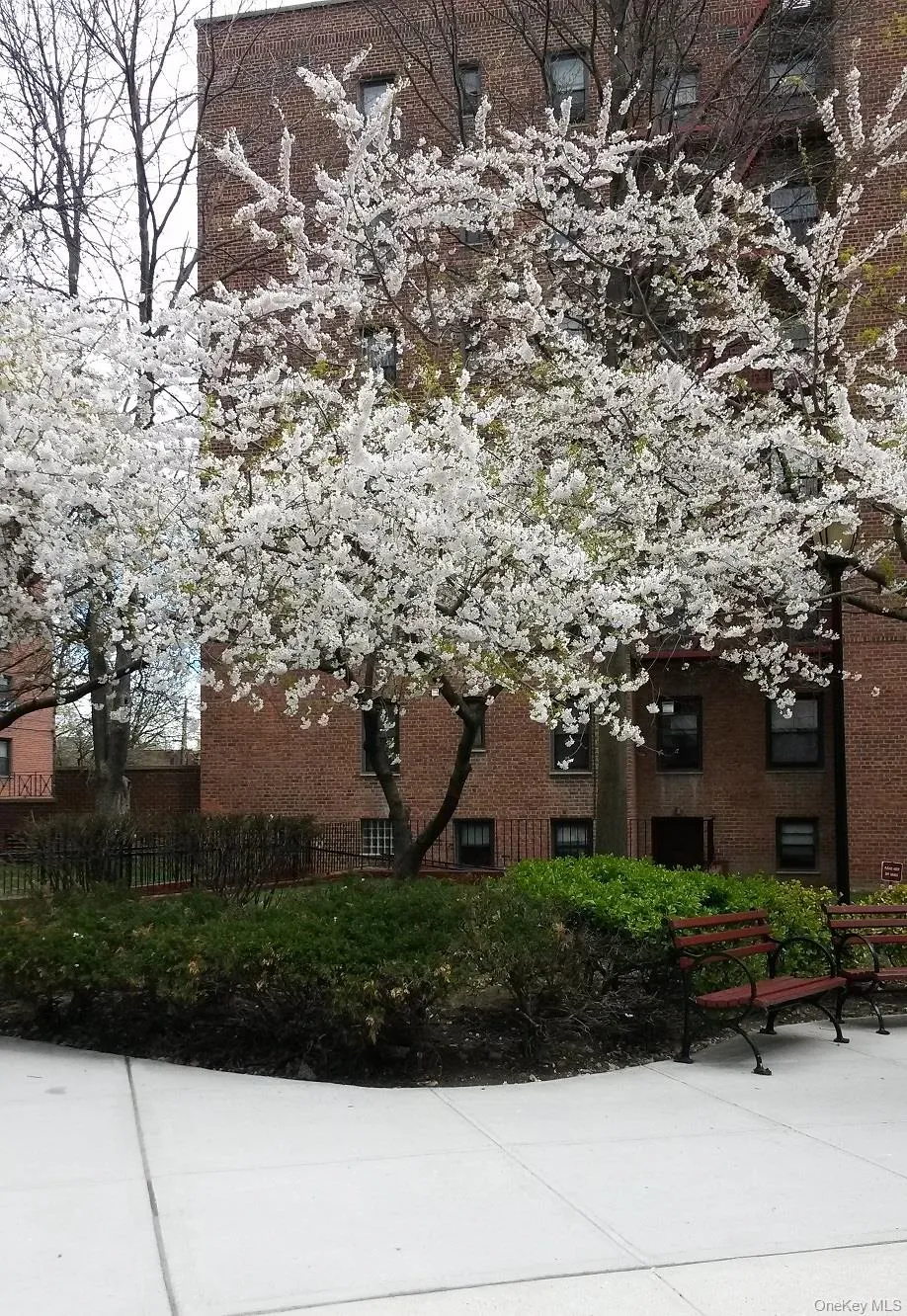150-29 72 Road, New York, NY, 1 Bedroom Bedrooms, 3 Rooms Rooms,1 BathroomBathrooms,Residential Sale,For Rent,72,0,1000889 150-29 72 Road, New York, NY, 1 Bedroom Bedrooms, 3 Rooms Rooms,1 BathroomBathrooms,Residential Sale,For Rent,72,0,1000889