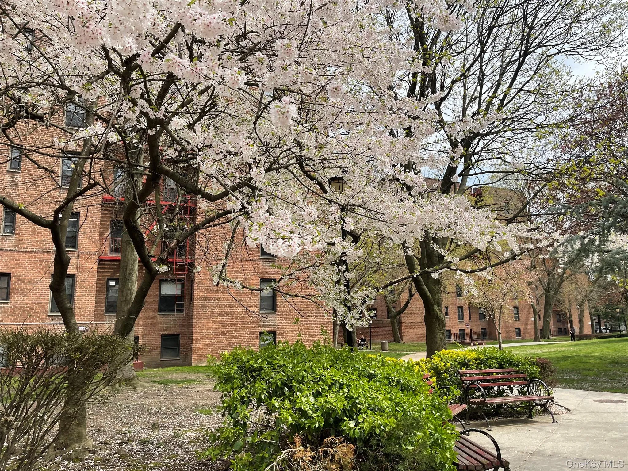150-29 72 Road, New York, NY, 1 Bedroom Bedrooms, 3 Rooms Rooms,1 BathroomBathrooms,Residential Sale,For Rent,72,0,1000889 150-29 72 Road, New York, NY, 1 Bedroom Bedrooms, 3 Rooms Rooms,1 BathroomBathrooms,Residential Sale,For Rent,72,0,1000889
