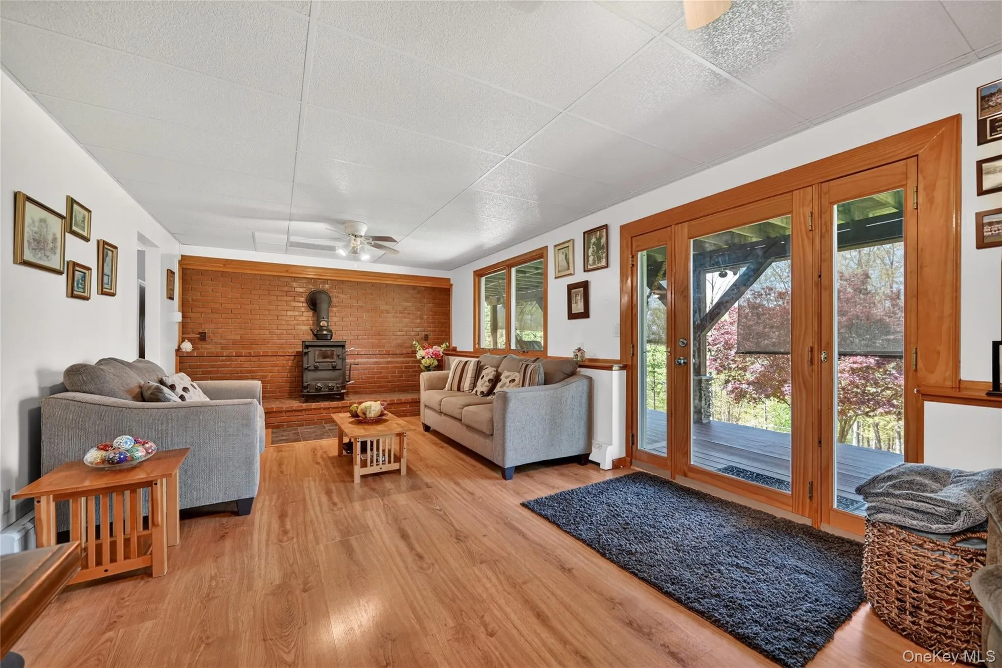 Lower Level w/ walk out to back yard & patio. Lower Level w/ walk out to back yard & patio.