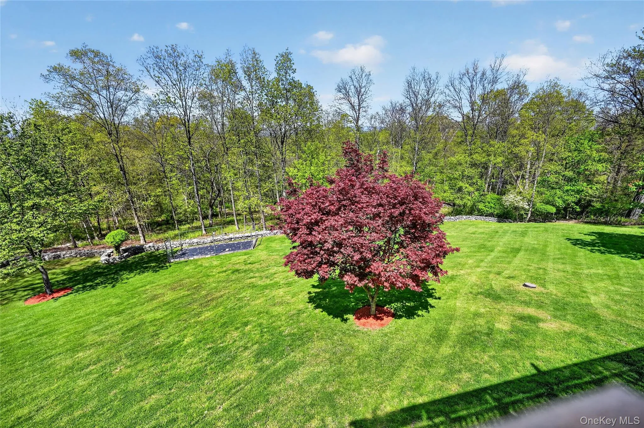 Perhaps a par 3 in store for this parklike property. Perhaps a par 3 in store for this parklike property.