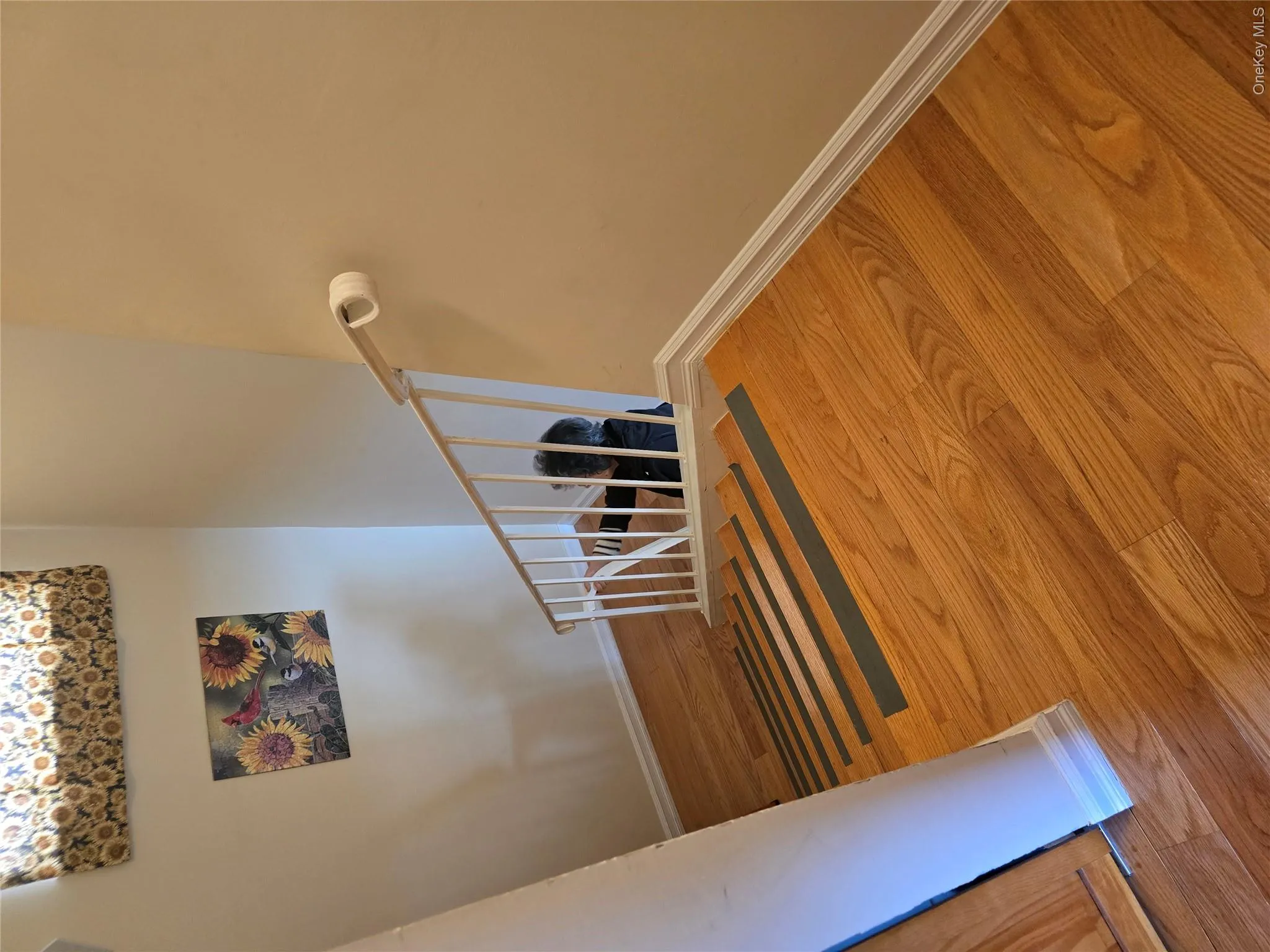 228-05 69th Avenue, New York, NY, 4 Bedrooms Bedrooms, 7 Rooms Rooms,3 BathroomsBathrooms,Residential,For Rent,69th,0,1000944 228-05 69th Avenue, New York, NY, 4 Bedrooms Bedrooms, 7 Rooms Rooms,3 BathroomsBathrooms,Residential,For Rent,69th,0,1000944