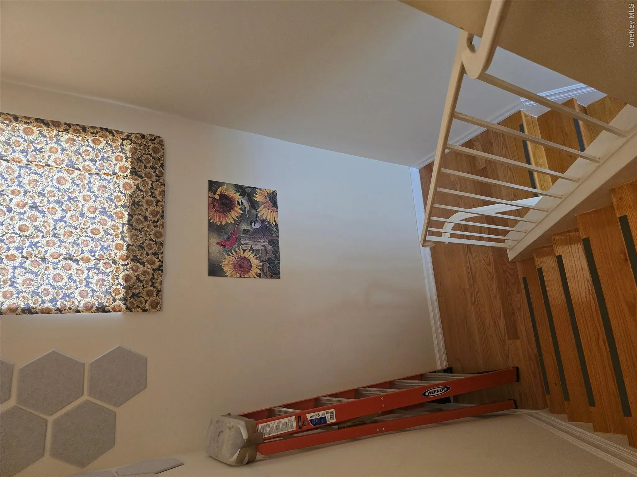 228-05 69th Avenue, New York, NY, 4 Bedrooms Bedrooms, 7 Rooms Rooms,3 BathroomsBathrooms,Residential,For Rent,69th,0,1000944 228-05 69th Avenue, New York, NY, 4 Bedrooms Bedrooms, 7 Rooms Rooms,3 BathroomsBathrooms,Residential,For Rent,69th,0,1000944