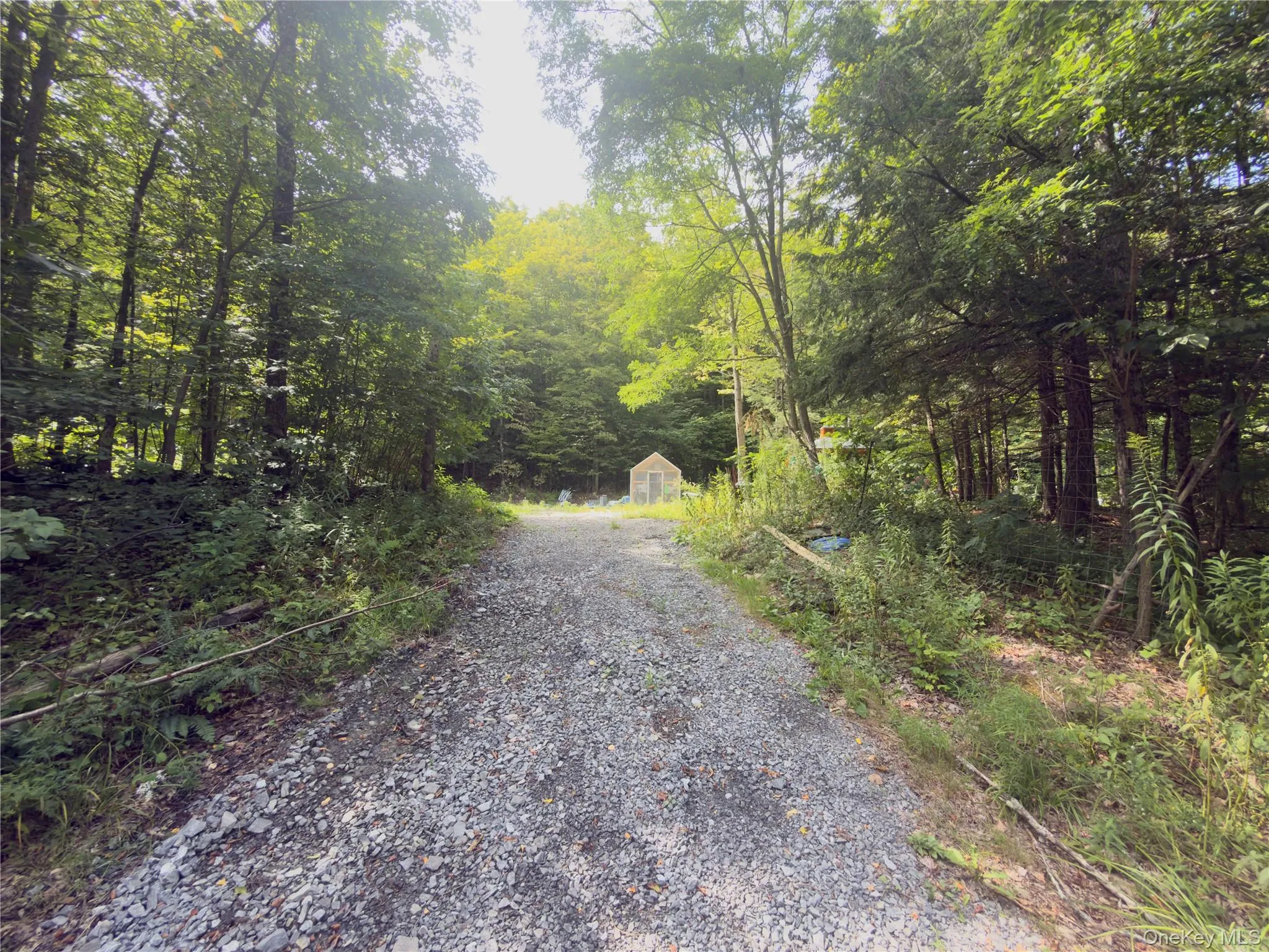 Gravel drive leading to a small shed structure, surrounded by mature trees and natural vegetation Gravel drive leading to a small shed structure, surrounded by mature trees and natural vegetation