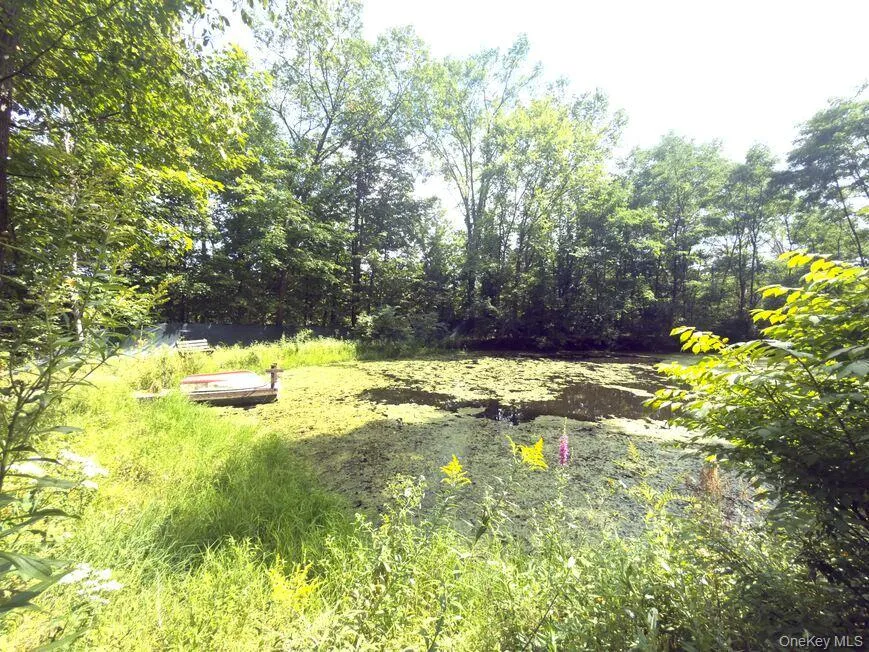 9362 New York 30 Rt 30, Schenectady, NY, ,Land,For Rent,Rt 30,0,1000988 9362 New York 30 Rt 30, Schenectady, NY, ,Land,For Rent,Rt 30,0,1000988
