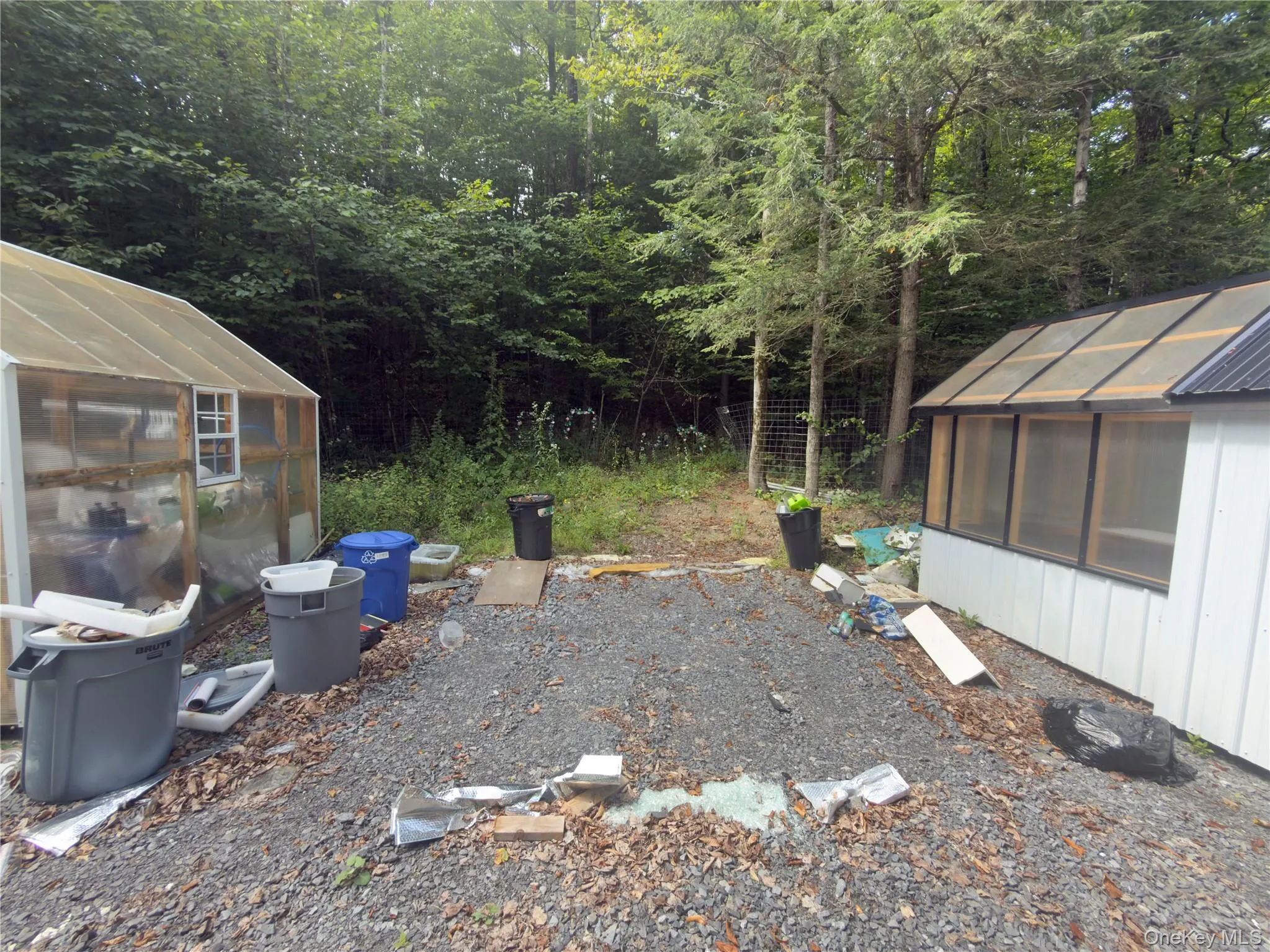 Gravel hardscape area featuring two outbuildings with translucent panel roofs and surrounding mature trees Gravel hardscape area featuring two outbuildings with translucent panel roofs and surrounding mature trees