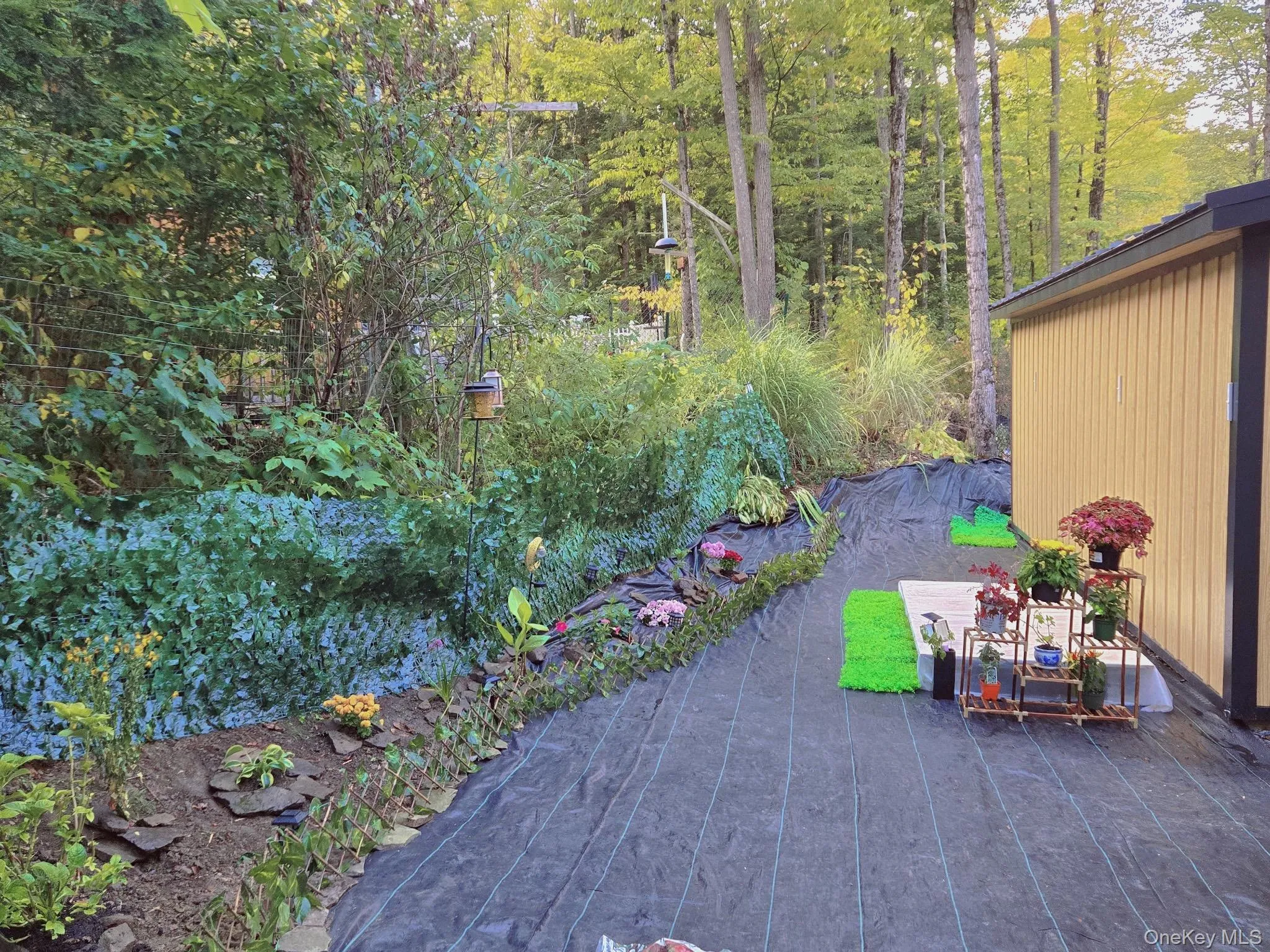 Landscaped garden bed with established plantings, alongside a yellow vertical siding structure with dark trim Landscaped garden bed with established plantings, alongside a yellow vertical siding structure with dark trim