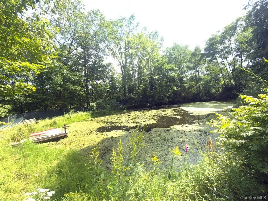 9362 New York 30 Rt 30, Schenectady, NY, ,Land,For Rent,Rt 30,0,1000988 9362 New York 30 Rt 30, Schenectady, NY, ,Land,For Rent,Rt 30,0,1000988