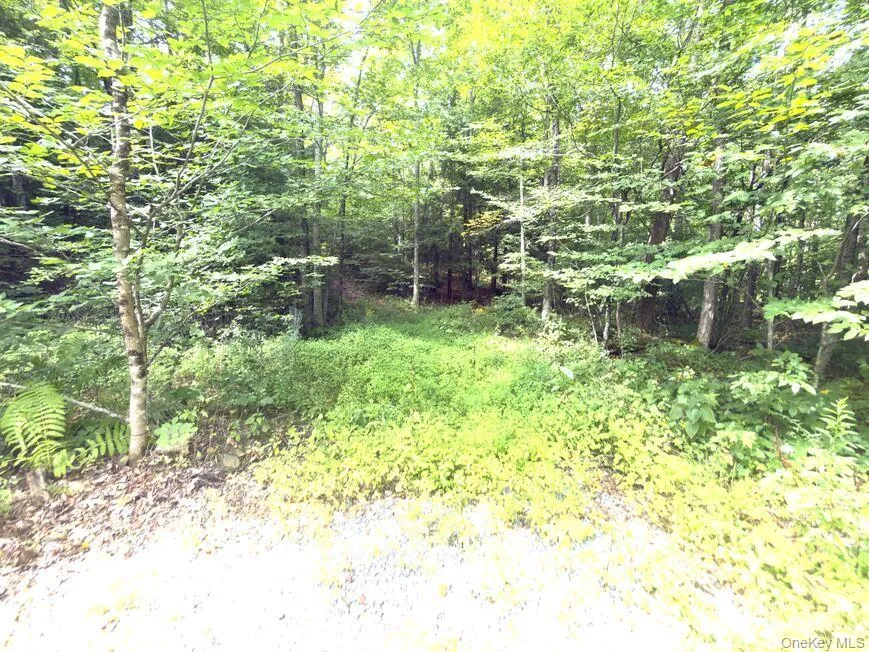 9362 New York 30 Rt 30, Schenectady, NY, ,Land,For Rent,Rt 30,0,1000988 9362 New York 30 Rt 30, Schenectady, NY, ,Land,For Rent,Rt 30,0,1000988