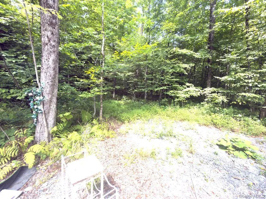 9362 New York 30 Rt 30, Schenectady, NY, ,Land,For Rent,Rt 30,0,1000988 9362 New York 30 Rt 30, Schenectady, NY, ,Land,For Rent,Rt 30,0,1000988