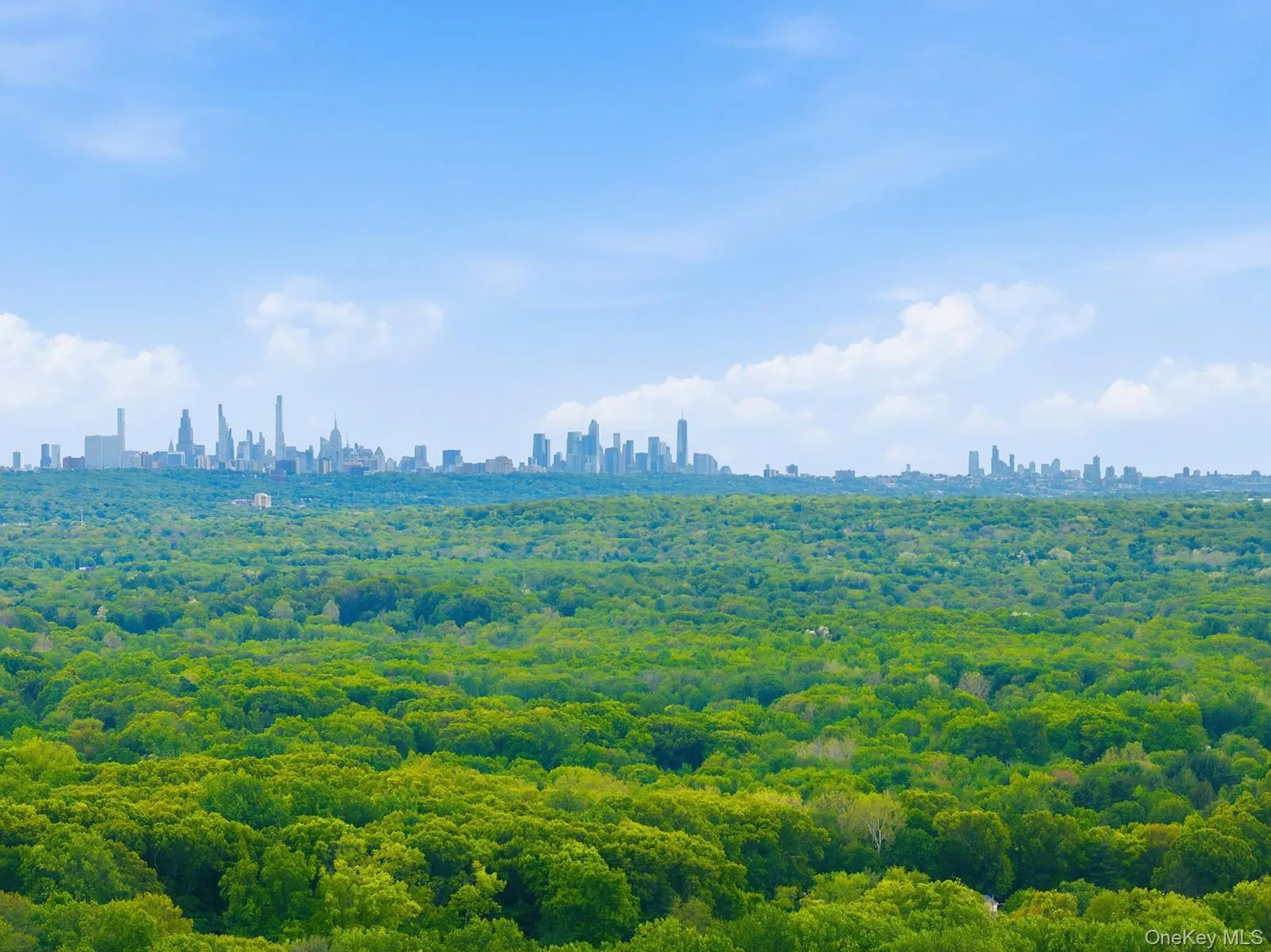 Just 25 miles from Manhattan! Just 25 miles from Manhattan!