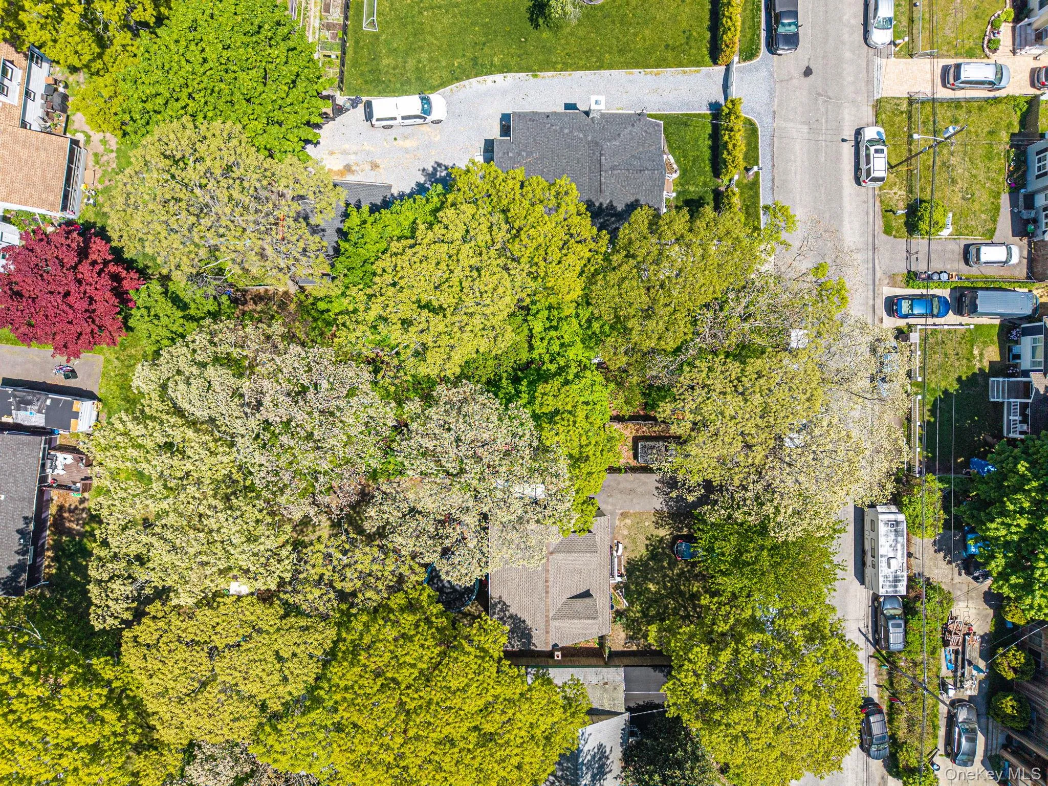 46 Brushwood Drive, Brookhaven, NY, 8 Bedrooms Bedrooms, 15 Rooms Rooms,3 BathroomsBathrooms,Residential Sale,For Rent,Brushwood,0,1001013 46 Brushwood Drive, Brookhaven, NY, 8 Bedrooms Bedrooms, 15 Rooms Rooms,3 BathroomsBathrooms,Residential Sale,For Rent,Brushwood,0,1001013