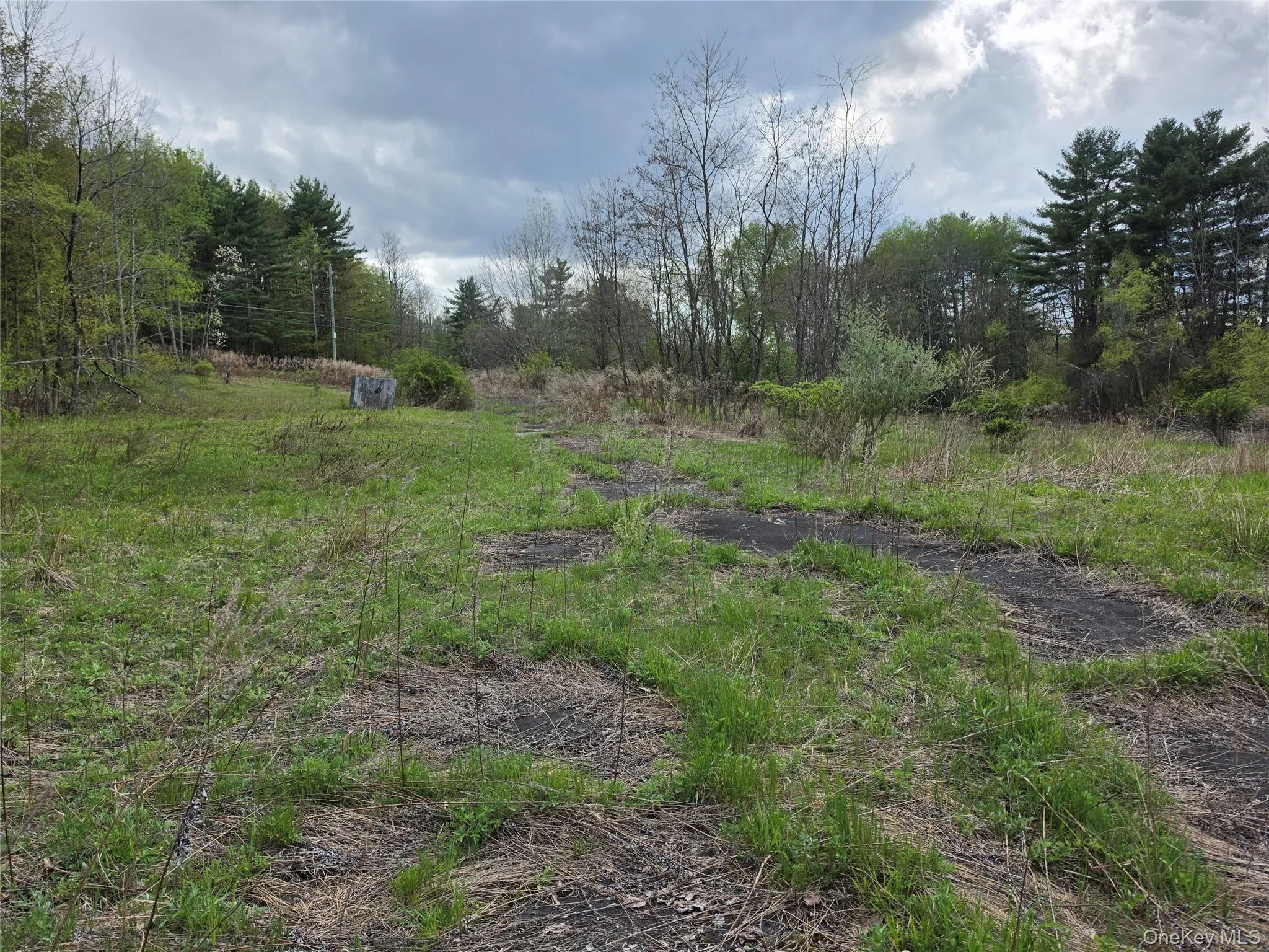 852 State Route 17B, Thompson, NY, ,Land,For Rent,State Route 17B,0,1001063 852 State Route 17B, Thompson, NY, ,Land,For Rent,State Route 17B,0,1001063