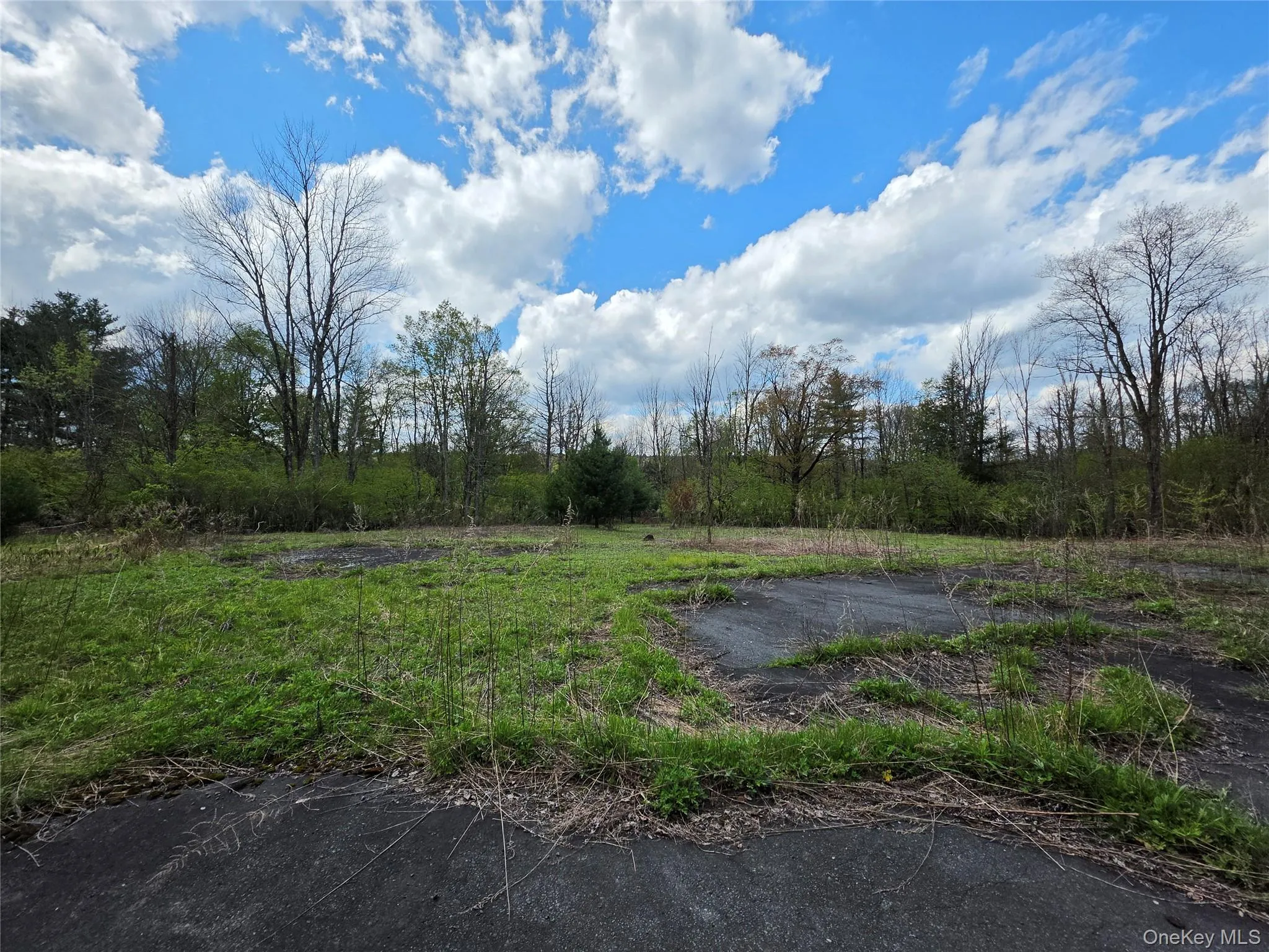 852 State Route 17B, Thompson, NY, ,Land,For Rent,State Route 17B,0,1001063 852 State Route 17B, Thompson, NY, ,Land,For Rent,State Route 17B,0,1001063