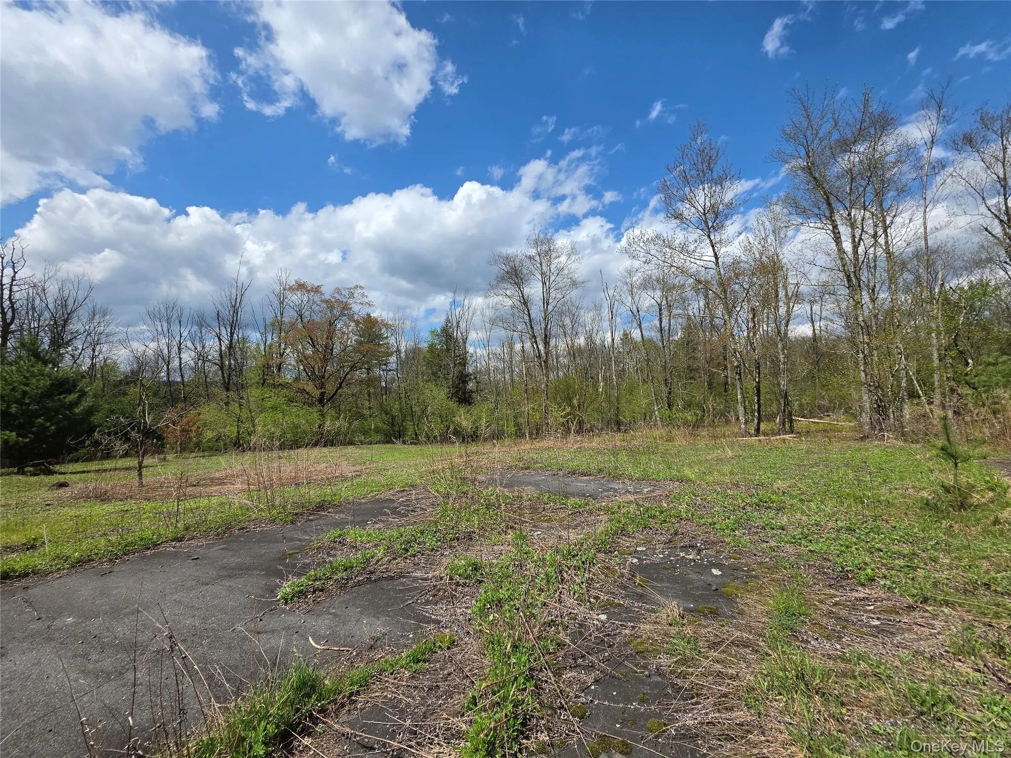 852 State Route 17B, Thompson, NY, ,Land,For Rent,State Route 17B,0,1001063 852 State Route 17B, Thompson, NY, ,Land,For Rent,State Route 17B,0,1001063