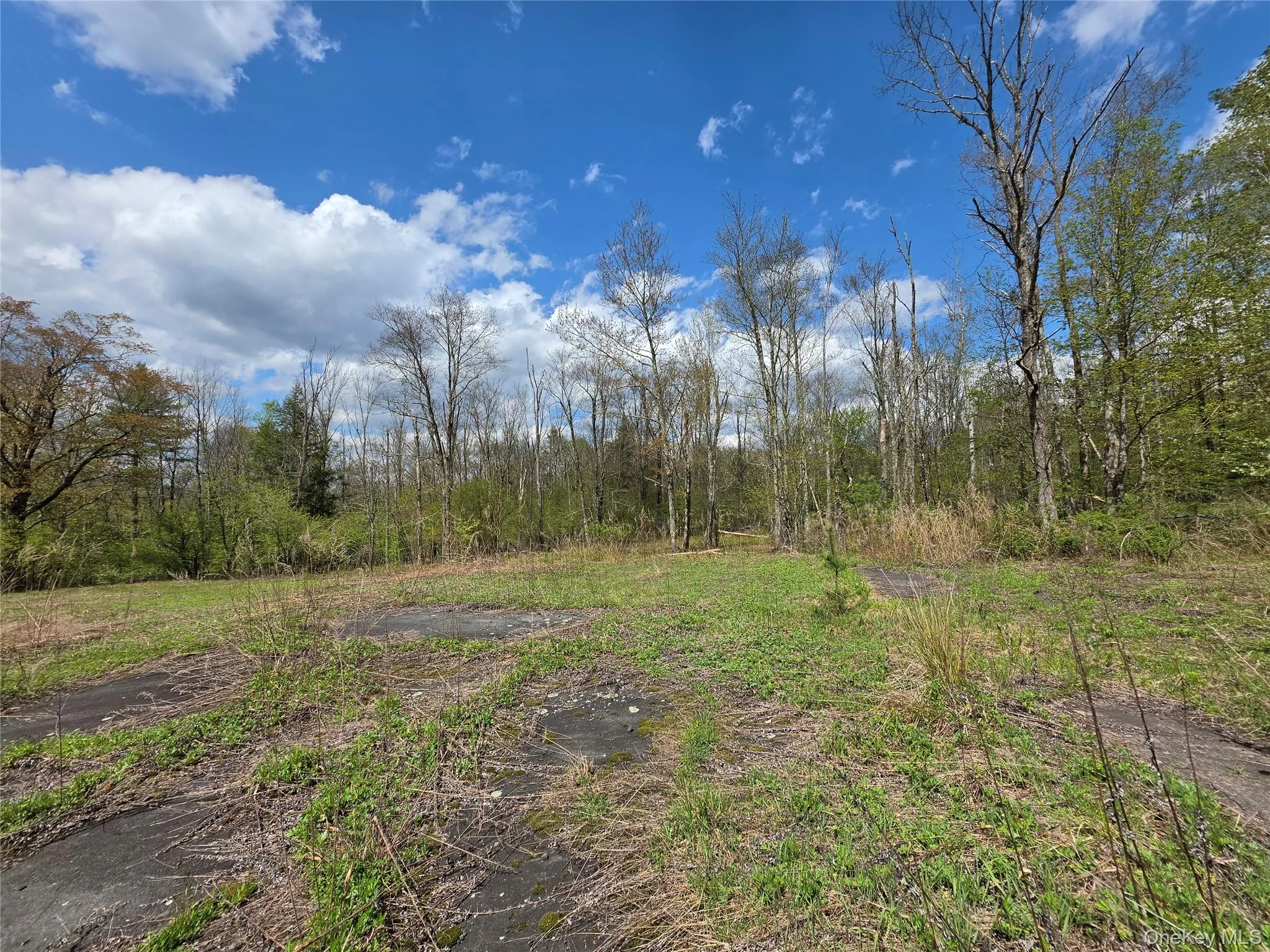852 State Route 17B, Thompson, NY, ,Land,For Rent,State Route 17B,0,1001063 852 State Route 17B, Thompson, NY, ,Land,For Rent,State Route 17B,0,1001063