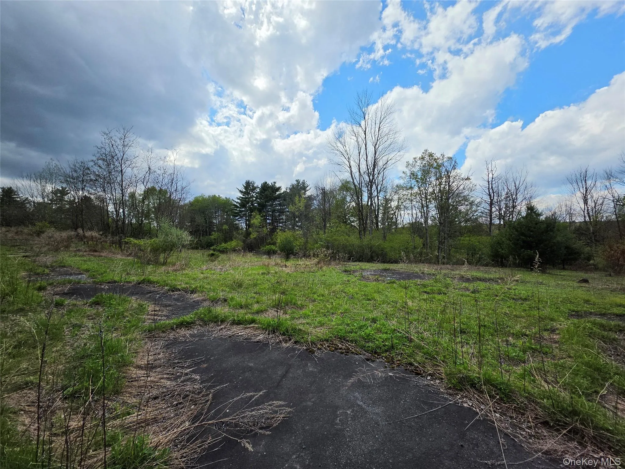852 State Route 17B, Thompson, NY, ,Land,For Rent,State Route 17B,0,1001063 852 State Route 17B, Thompson, NY, ,Land,For Rent,State Route 17B,0,1001063
