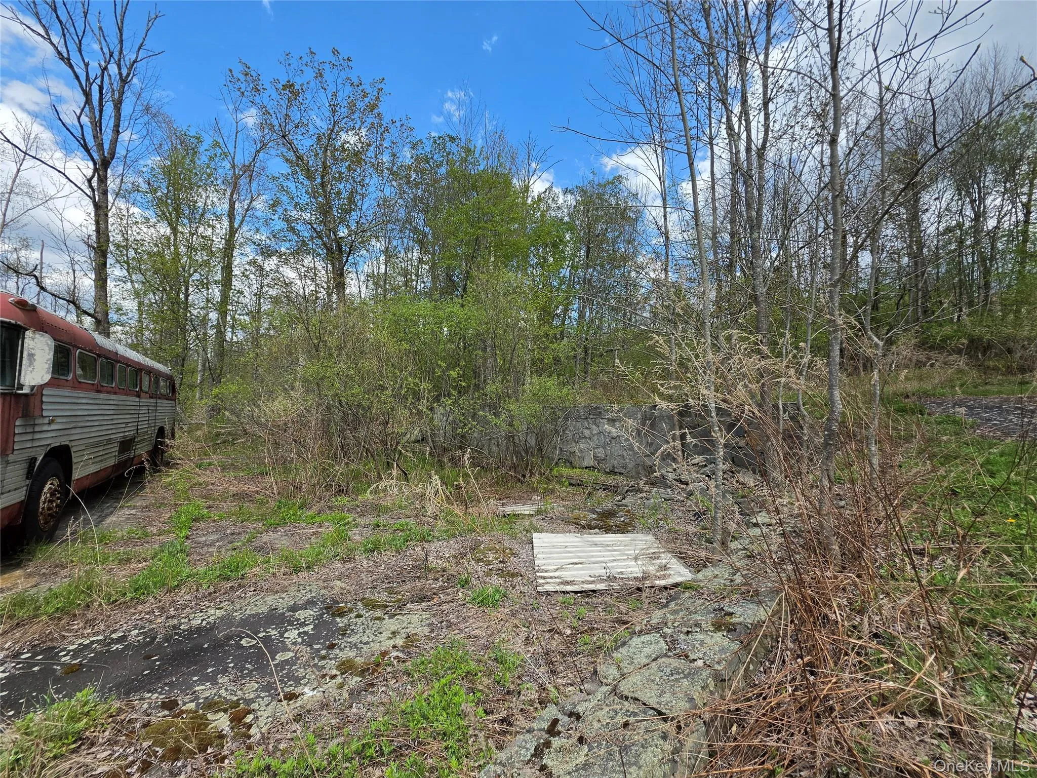 852 State Route 17B, Thompson, NY, ,Land,For Rent,State Route 17B,0,1001063 852 State Route 17B, Thompson, NY, ,Land,For Rent,State Route 17B,0,1001063