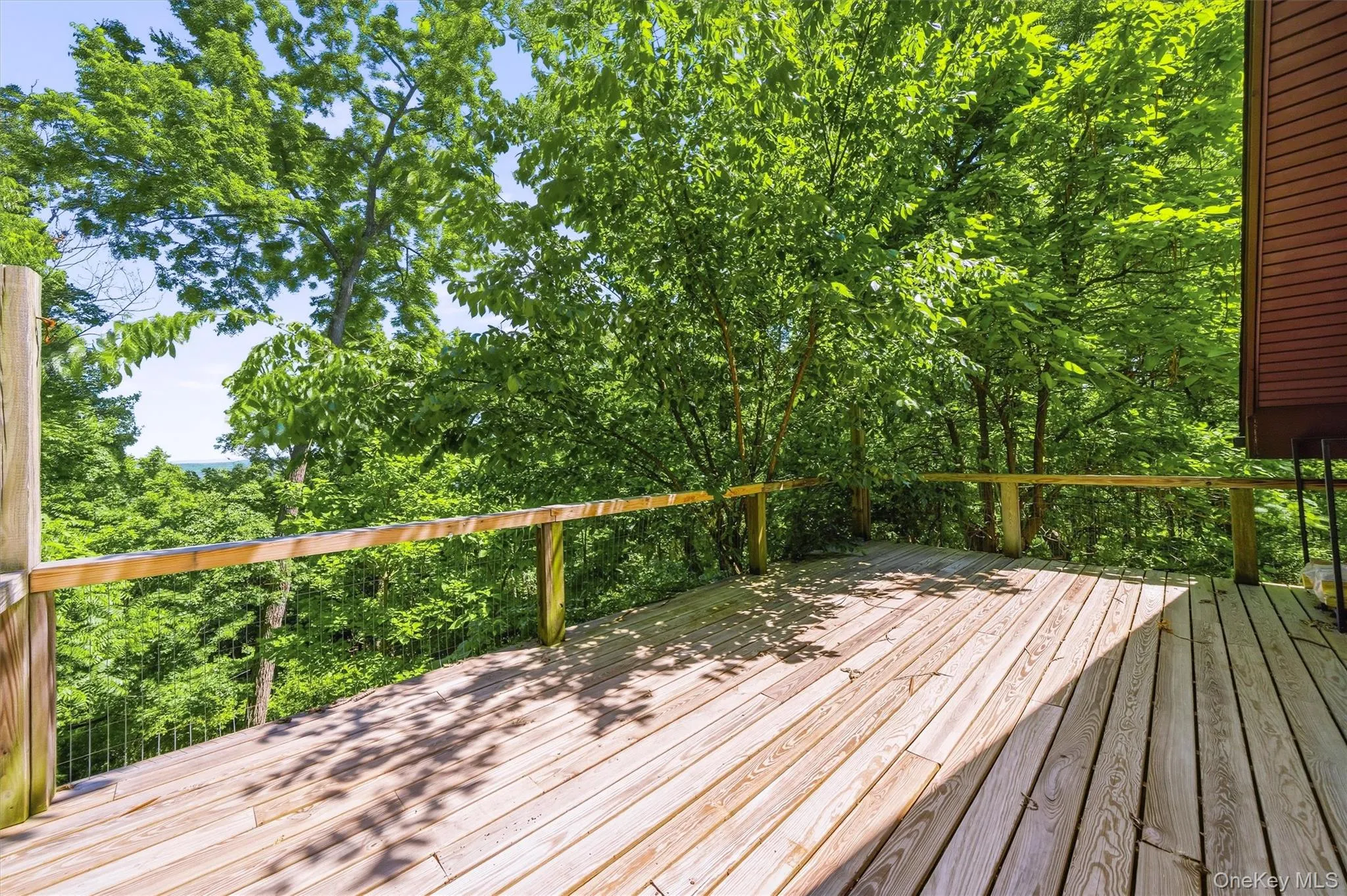 Spacious wood-plank deck with wood railings, surrounded by mature trees Spacious wood-plank deck with wood railings, surrounded by mature trees