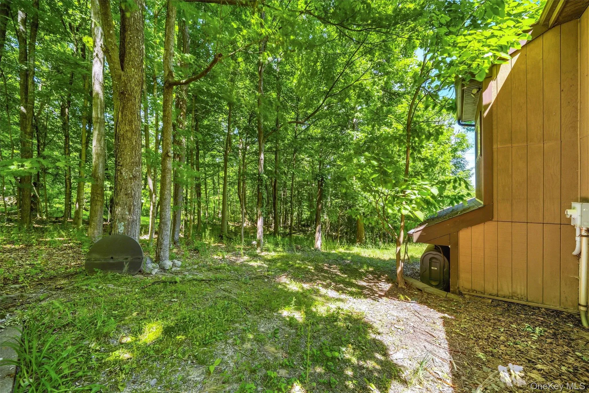 Wooded property with mature trees, offering a natural setting Wooded property with mature trees, offering a natural setting