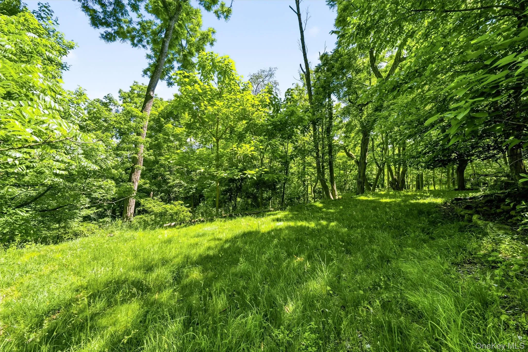 65 Old Turnpike Road, Mamakating, NY, 2 Bedrooms Bedrooms, 6 Rooms Rooms,2 BathroomsBathrooms,Residential,For Rent,Old Turnpike,0,1001072 65 Old Turnpike Road, Mamakating, NY, 2 Bedrooms Bedrooms, 6 Rooms Rooms,2 BathroomsBathrooms,Residential,For Rent,Old Turnpike,0,1001072