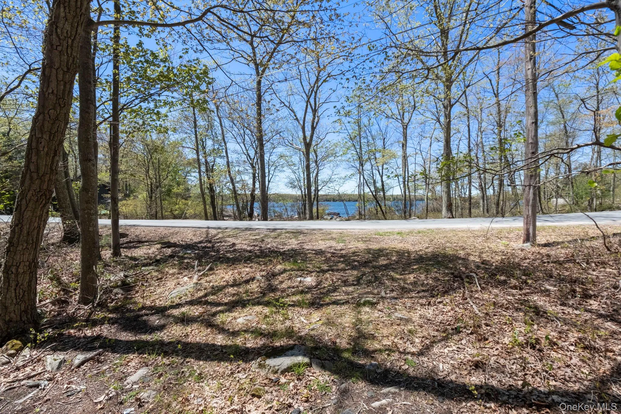 Canal Road, Mamakating, NY, ,Land,For Rent,Canal,0,1001077 Canal Road, Mamakating, NY, ,Land,For Rent,Canal,0,1001077