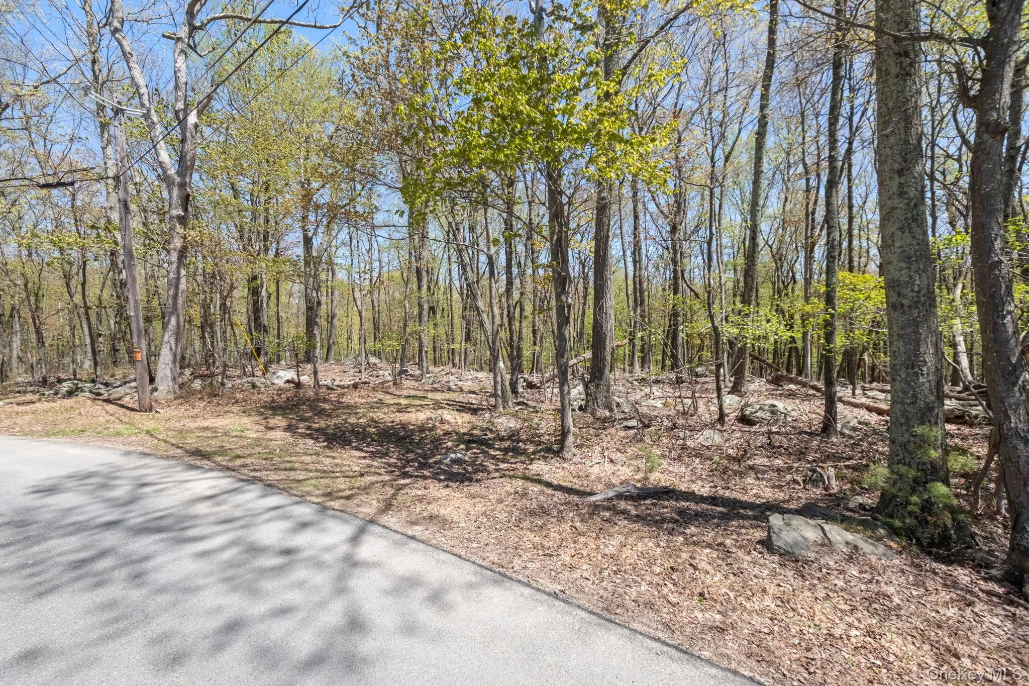 Canal Road, Mamakating, NY, ,Land,For Rent,Canal,0,1001077 Canal Road, Mamakating, NY, ,Land,For Rent,Canal,0,1001077