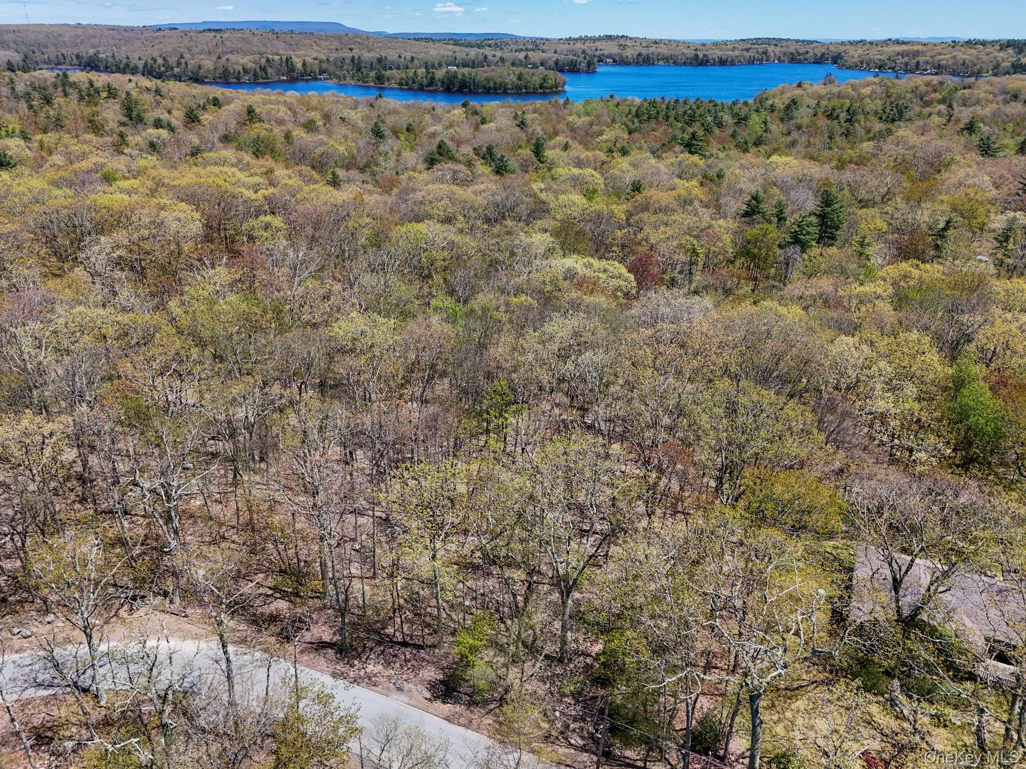 Canal Road, Mamakating, NY, ,Land,For Rent,Canal,0,1001077 Canal Road, Mamakating, NY, ,Land,For Rent,Canal,0,1001077