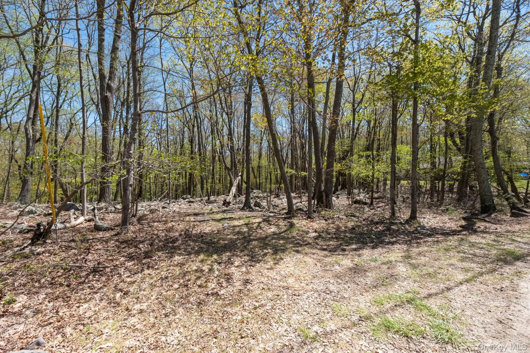 Canal Road, Mamakating, NY, ,Land,For Rent,Canal,0,1001077 Canal Road, Mamakating, NY, ,Land,For Rent,Canal,0,1001077
