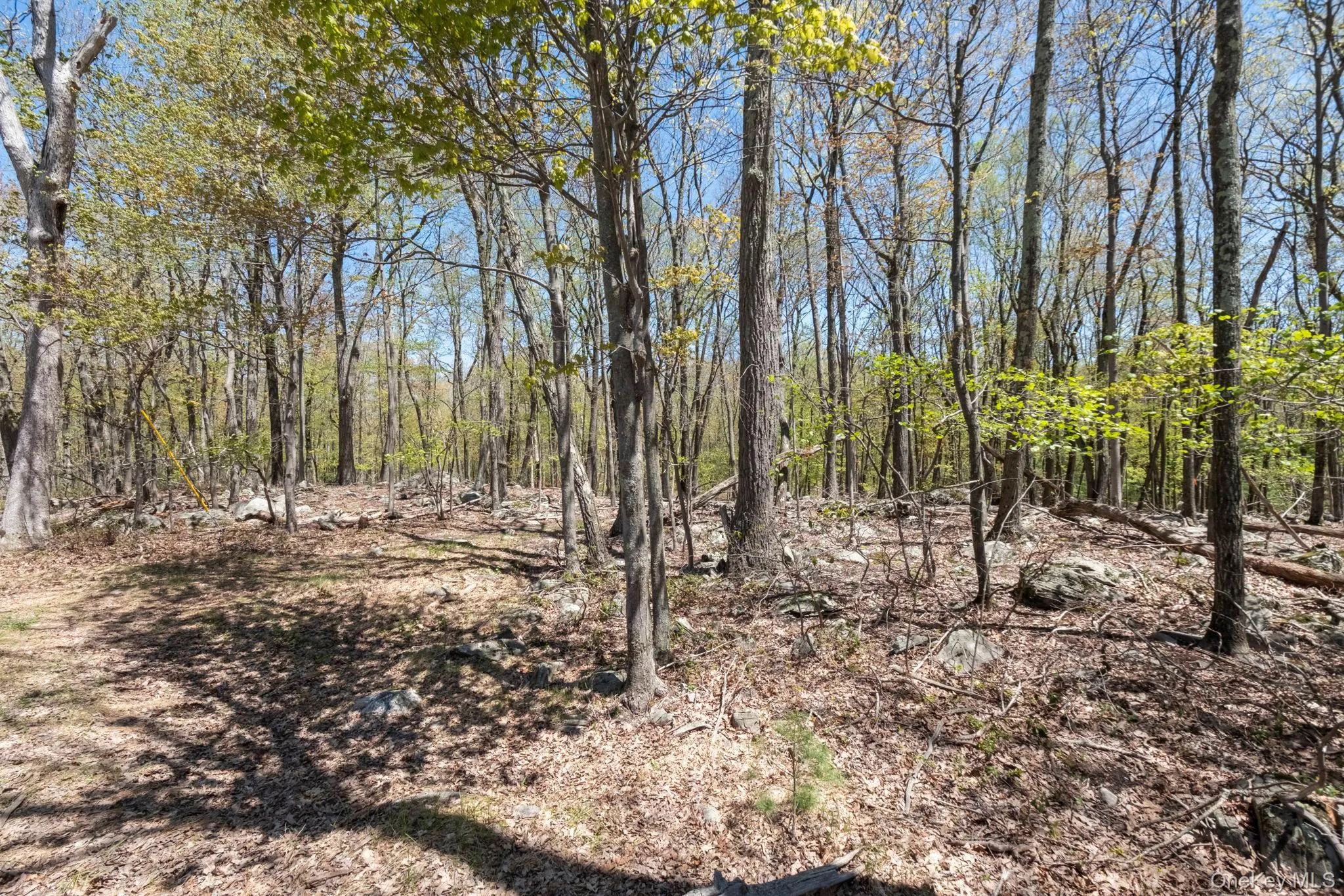 Canal Road, Mamakating, NY, ,Land,For Rent,Canal,0,1001077 Canal Road, Mamakating, NY, ,Land,For Rent,Canal,0,1001077